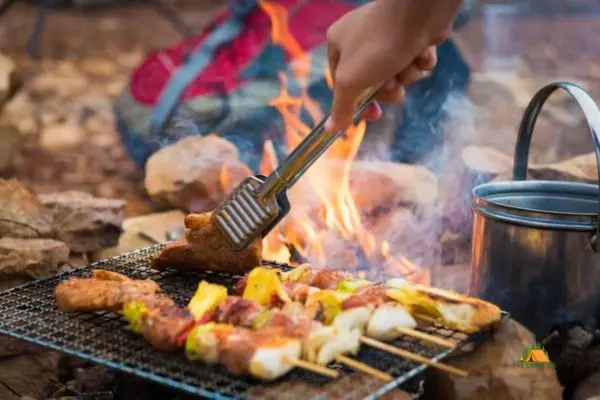 Classic Campfire Grilled Meat Skewers