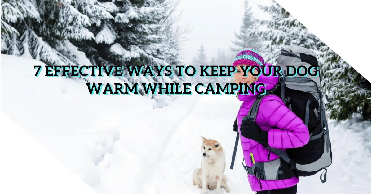 How to Keep Your Dog Warm While Camping